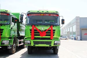 陜汽重卡 德龍F(tuán)3000 濰柴336馬力 6X4 國四 自卸車 （SX3256DR3841）