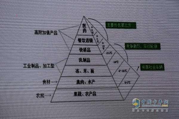 大黃蜂冷鏈物流有限公司總經(jīng)理蔣邏斌